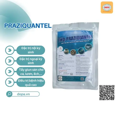 Thuốc Praziquantel Cho Cá: Hướng Dẫn Sử Dụng Hiệu Quả và An Toàn