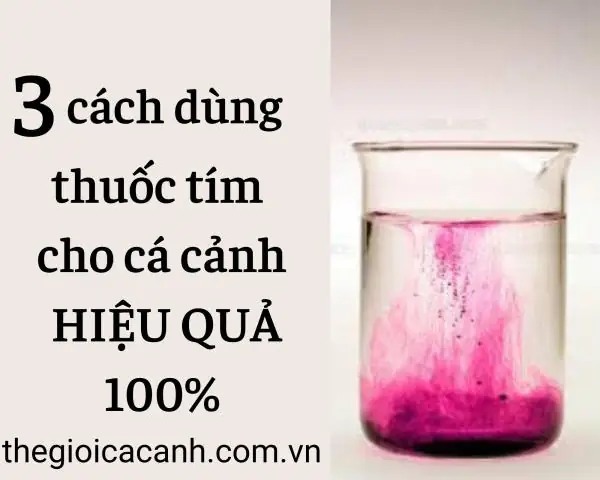 thuốc tím cho cá