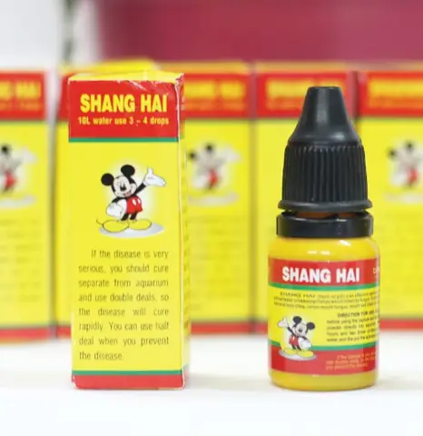 Thuốc Trị Bệnh Cá: Hướng Dẫn Chẩn Đoán, Điều Trị & Phòng Ngừa Hiệu Quả