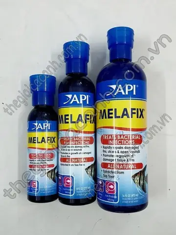 Hướng Dẫn Chọn & Sử Dụng Thuốc Trị Nấm Cá Cảnh Hiệu Quả Hướng Dẫn Chọn & Sử Dụng Thuốc Trị Nấm Cá Cảnh Hiệu Quả