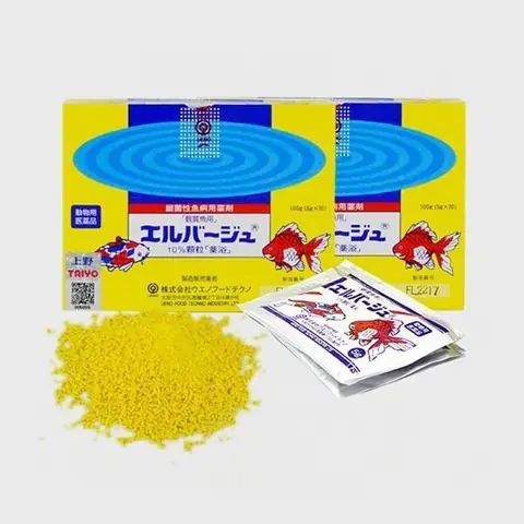 Hướng Dẫn Chọn & Sử Dụng Thuốc Trị Nấm Cá Cảnh Hiệu Quả Hướng Dẫn Chọn & Sử Dụng Thuốc Trị Nấm Cá Cảnh Hiệu Quả