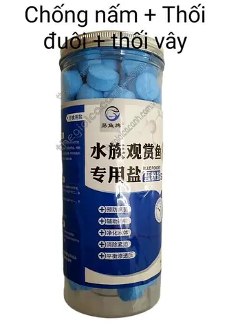 Hướng Dẫn Chọn & Sử Dụng Thuốc Trị Nấm Cá Cảnh Hiệu Quả Hướng Dẫn Chọn & Sử Dụng Thuốc Trị Nấm Cá Cảnh Hiệu Quả