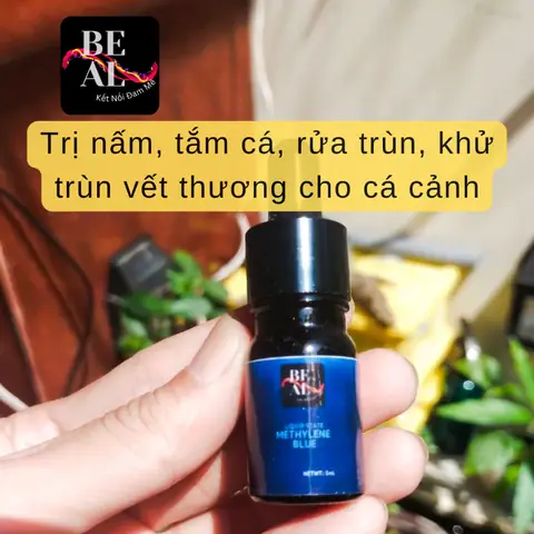 thuốc xanh methylen cho cá