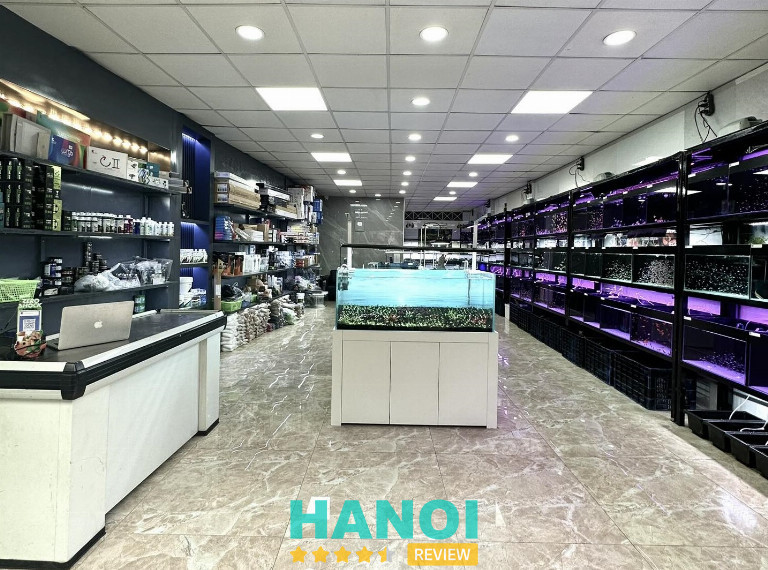 Thủy Sinh Tím - hỗ trợ khách hàng toàn diện về cá cảnh và thủy sinh