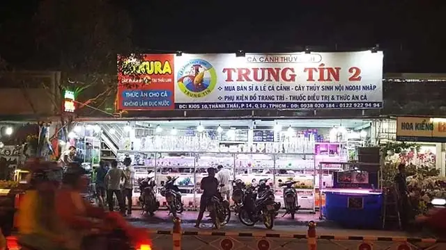 Tiệm Cá Cảnh Trung Tín: Đánh Giá Chi Tiết Cho Người Yêu Thủy Sinh