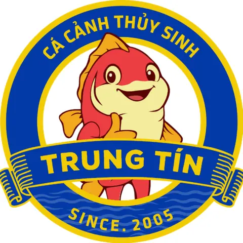Tiệm Cá Cảnh Trung Tín: Đánh Giá Chi Tiết Cho Người Yêu Thủy Sinh