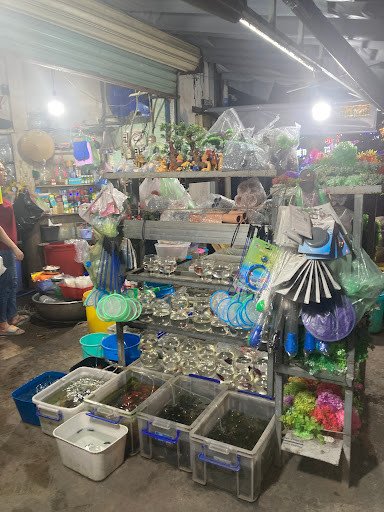 Tiệm cá kiểng Chị Năm với đa dạng các loại cá, đáp ứng mọi nhu cầu của người chơi