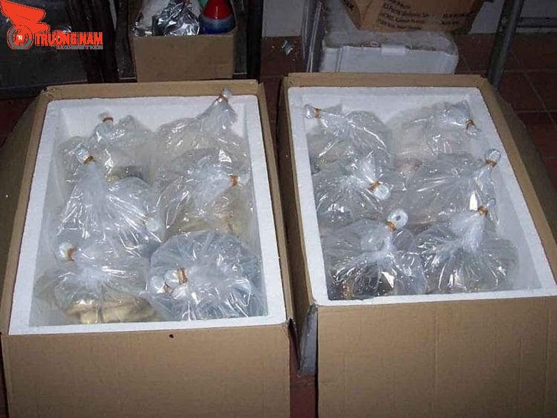 Tiến hành vận chuyển cá đến địa chỉ yêu cầu