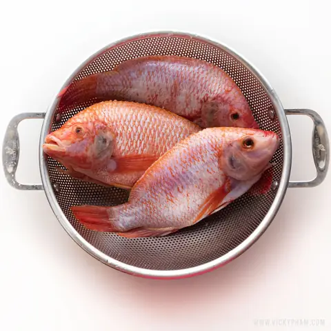 4. Tilapia trong nuôi trồng thủy sản và kinh tế