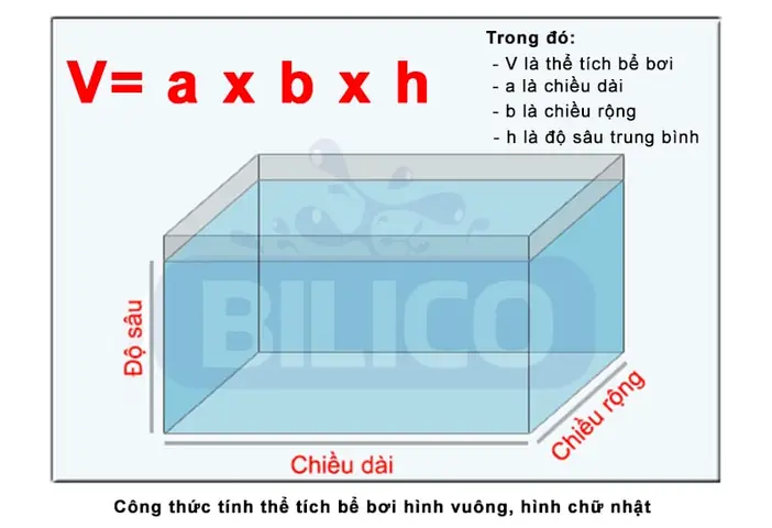 Hướng dẫn tính diện tích bể cá chuẩn xác nhất