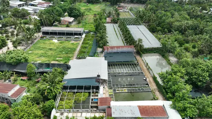 Hướng Dẫn Chọn Trại Cá Cảnh Bình Dương Uy Tín Cho Đam Mê Của Bạn