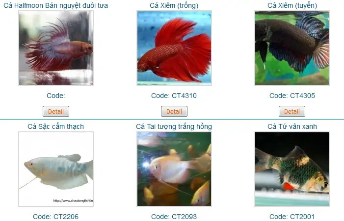 Giới Thiệu Về Trại Cá Châu Tống