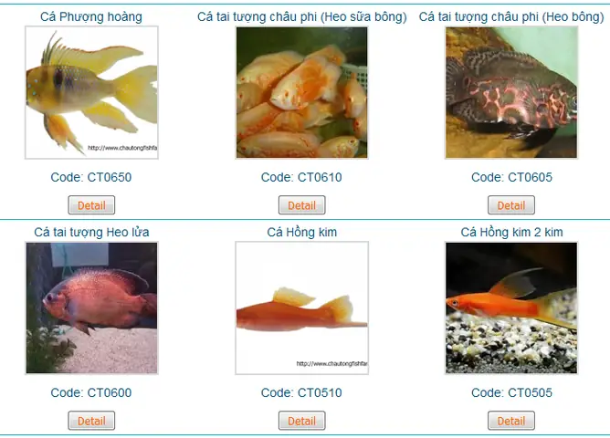 Giới Thiệu Về Trại Cá Châu Tống