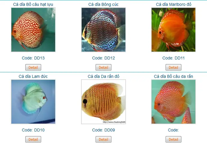Giới Thiệu Về Trại Cá Châu Tống