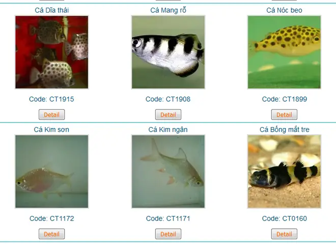 Giới Thiệu Về Trại Cá Châu Tống