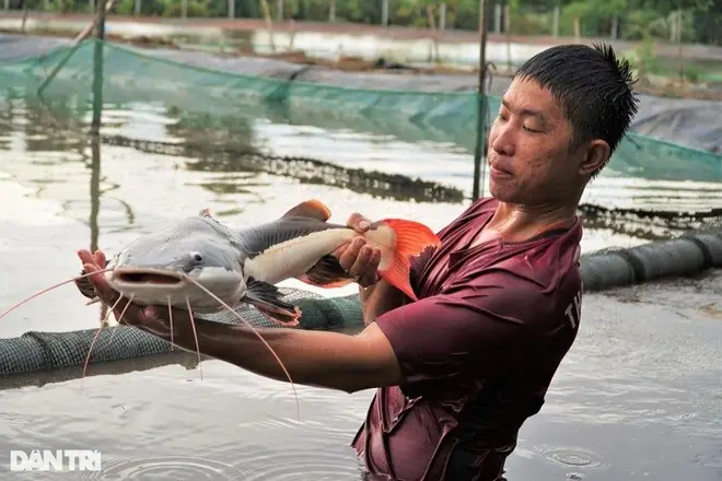 Đánh giá chi tiết Trại cá giống Minh Luận: Từ sản phẩm đến dịch vụ