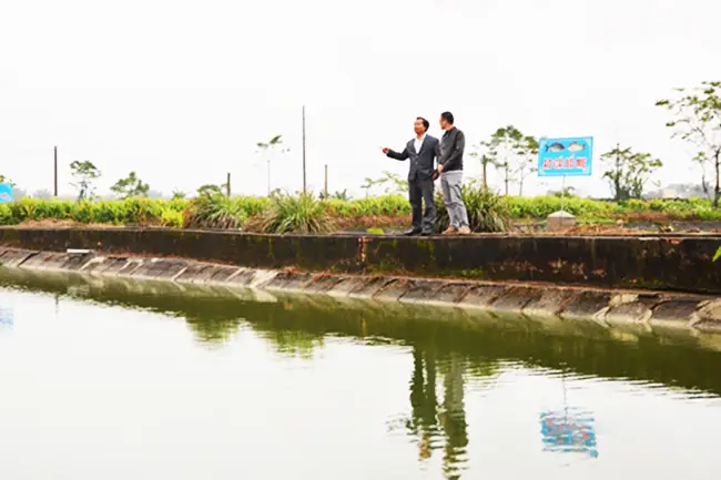 Đánh Giá Toàn Diện Trại Cá Giống Trường Long: Thông Tin Chi Tiết Và Chất Lượng Sản Phẩm