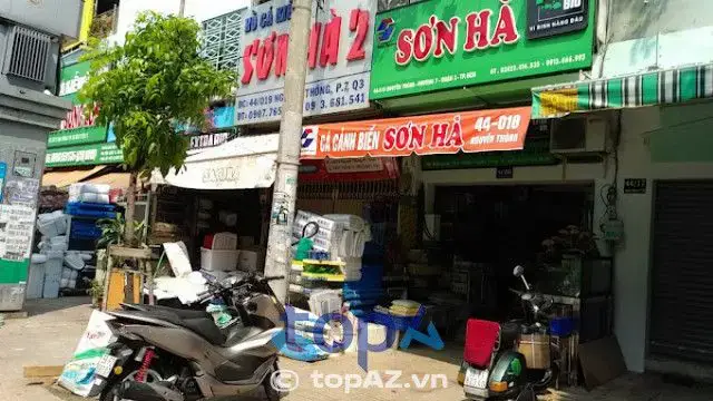 trại cá kiểng diamond da