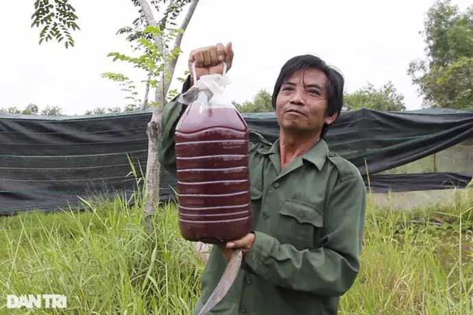 trại cá koi hcm