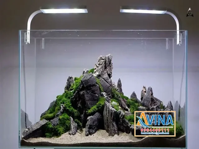 trang trí bể cá trang trí bể cá