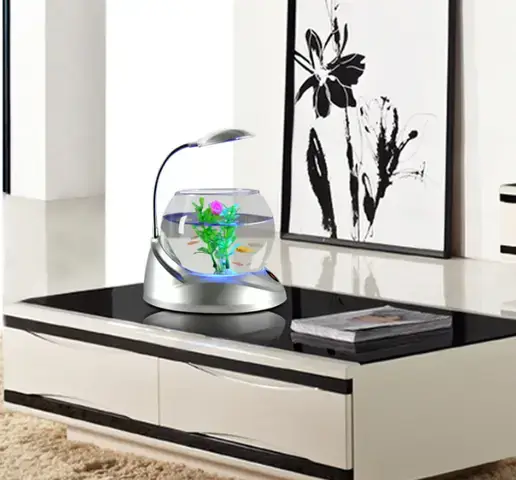 Các nguyên tắc cơ bản khi trang trí bể cá mini tròn