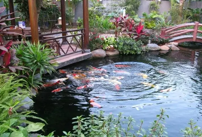 Hướng Dẫn Trang Trí Hồ Cá Ngoài Trời Đẹp Và Chuẩn Phong Thủy