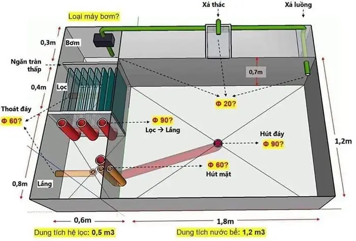Hướng Dẫn Trang Trí Hồ Cá Ngoài Trời Đẹp Và Chuẩn Phong Thủy