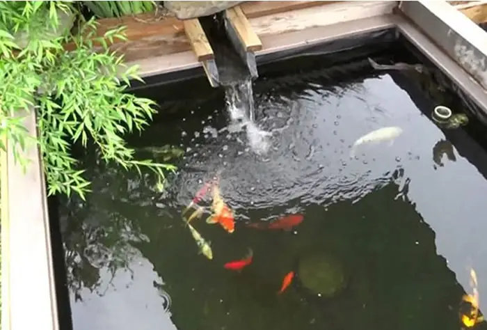 Hướng Dẫn Trang Trí Hồ Cá Ngoài Trời Đẹp Và Chuẩn Phong Thủy