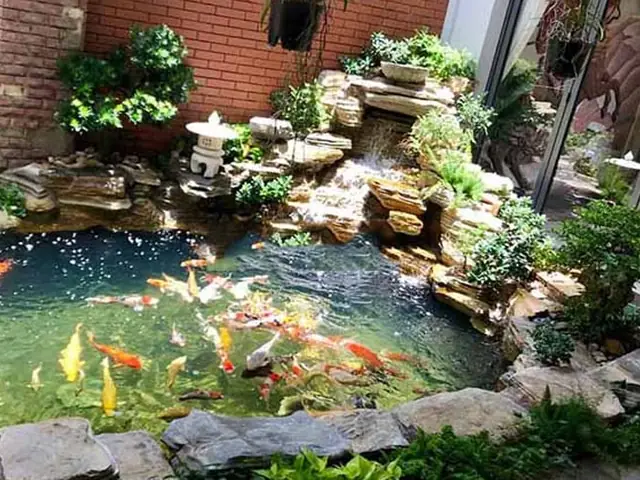 Hướng Dẫn Trang Trí Hồ Cá Ngoài Trời Đẹp Và Chuẩn Phong Thủy