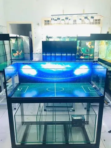 Tranh 3D Cá Vàng: Hướng Dẫn Toàn Diện Để Nâng Tầm Hồ Cá