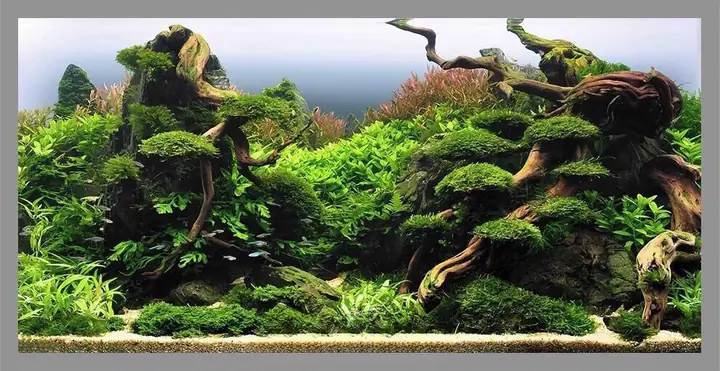 Tranh 3D Dán Đáy Bể Cá Rồng: Hướng Dẫn Toàn Diện & Chi Tiết