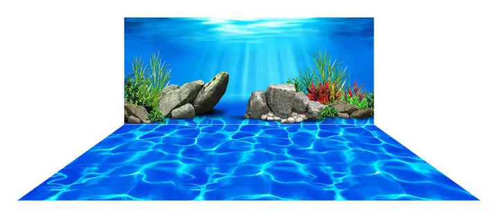 Tranh 3D Dán Đáy Bể Cá Rồng: Hướng Dẫn Toàn Diện & Chi Tiết