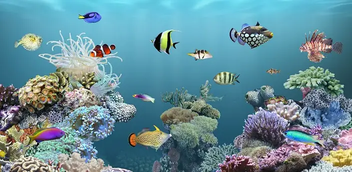 Tranh 3D Dán Đáy Bể Cá Rồng: Hướng Dẫn Toàn Diện & Chi Tiết