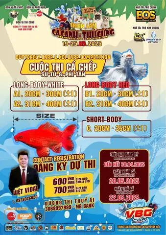 Triển Lãm Cá Cảnh: Hướng Dẫn Toàn Diện Cho Người Yêu Thủy Sinh