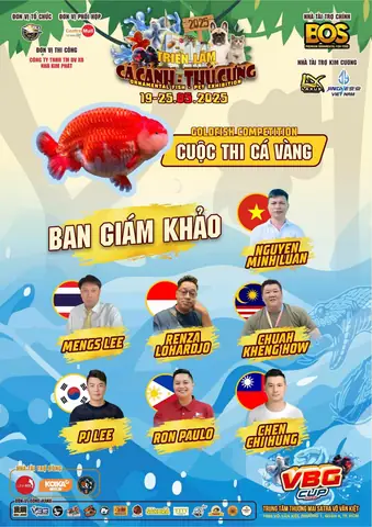 Triển Lãm Cá Cảnh: Hướng Dẫn Toàn Diện Cho Người Yêu Thủy Sinh