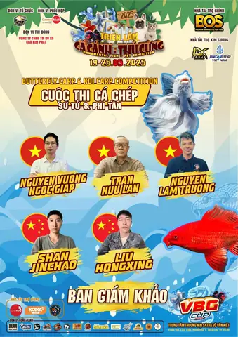 Triển Lãm Cá Cảnh: Hướng Dẫn Toàn Diện Cho Người Yêu Thủy Sinh