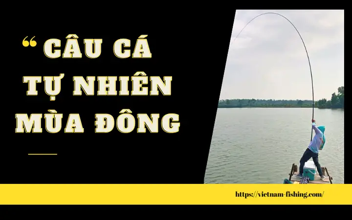 Trời Lạnh Cá Tra Ăn Mồi Gì? Tuyển Tập Mồi Câu Hiệu Quả Trời Lạnh Cá Tra Ăn Mồi Gì? Tuyển Tập Mồi Câu Hiệu Quả