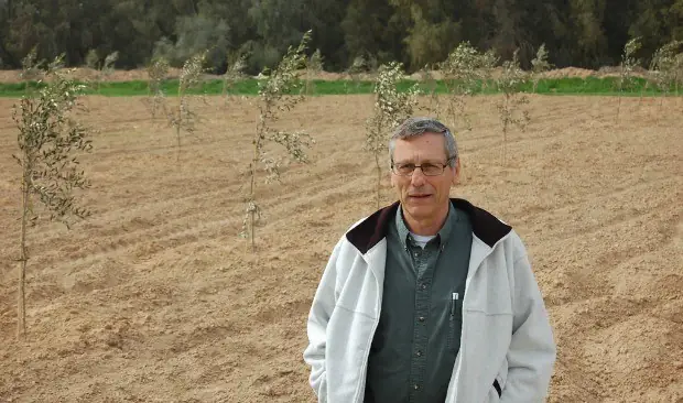 Nông nghiệp Israel biến sa mạc thành nơi trồng rau, nuôi cá