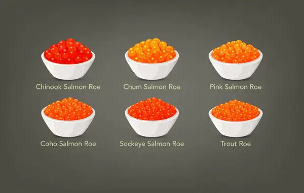 Trứng cá hồi tiếng Anh gọi là gì? Khám phá Salmon Roe và Caviar