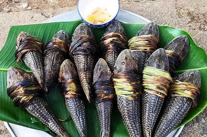 Cá lau kiếng nướng