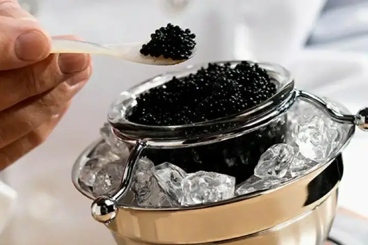 Đánh Giá Trứng Cá Muối Caviar Friedrichs: Lựa Chọn Thay Thế Xuất Sắc?