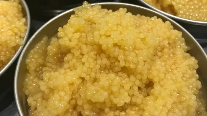 Trứng Cá Tầm Bạch Tạng: Giải Mã Sự Khan Hiếm Và Giá Trị Đắt Đỏ