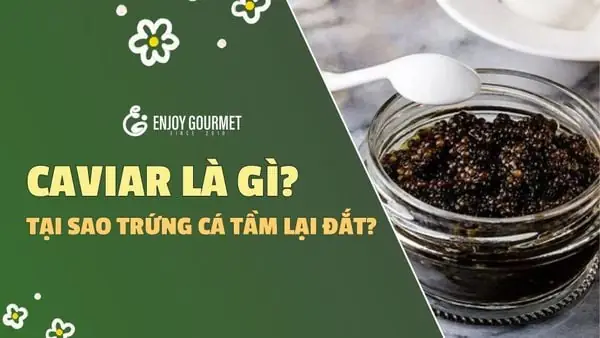 Trứng Cá Tầm Là Gì? Khám Phá Nguồn Gốc, Phân Loại & Giá Trị Dinh Dưỡng