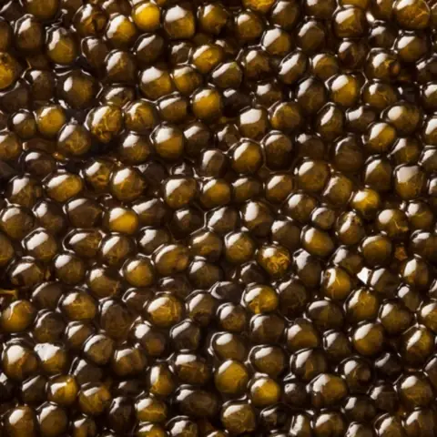 Trứng cá tầm muối: Hướng dẫn chi tiết về nguồn gốc, công dụng và cách bảo quản