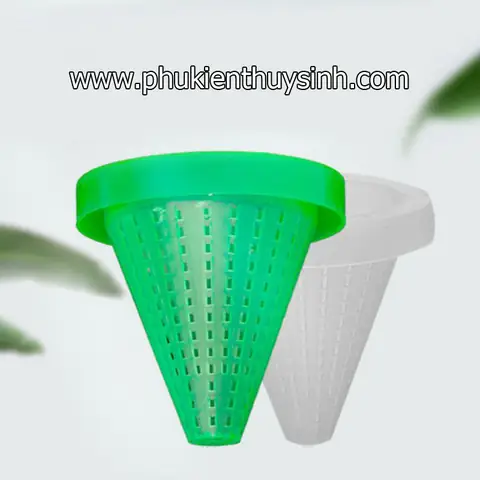 Hướng Dẫn Toàn Diện Về Trùng Chỉ Cho Cá Cảnh