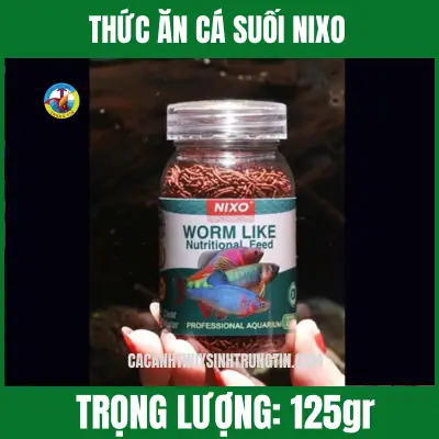 Đánh Giá Cửa Hàng Trung Tín Cá Cảnh: Có Nên Ghé Thăm?