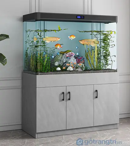 Hướng Dẫn Chi Tiết Cách Chọn Tủ Bể Cá Cảnh Phù Hợp