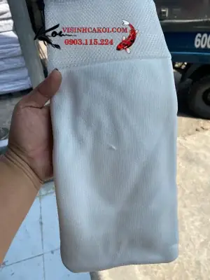 túi lọc hồ cá