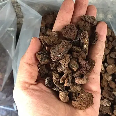 vật liệu lọc bể cá