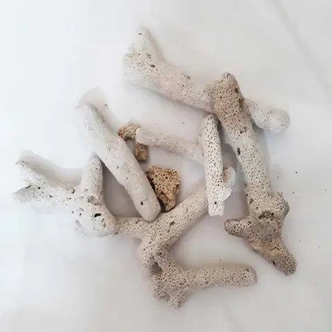 vật liệu lọc bể cá